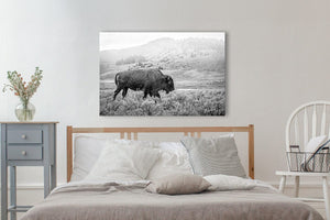Bison wall art – black and white rustic prairie photography print by Debra Gail Fine Art