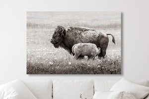 Bison wall art – rustic prairie photography print by Debra Gail Fine Art