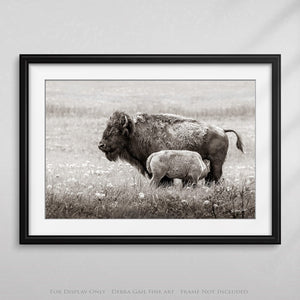 Bison wall art – rustic prairie photography print by Debra Gail Fine Art