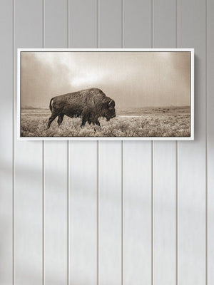 Panoramic bison wall art cow canvas print – wide Western ranch décor