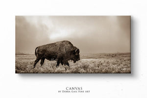 Panoramic bison wall art cow canvas print – wide Western ranch décor