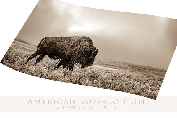 Debra Gail Fine Art AMERICAN BUFFALO PANORAMIC IN SEPIA 2:1 No. 4148