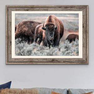 Buffalo wall art – Great Plains wildlife wall decor by Debra Gail Fine Art
