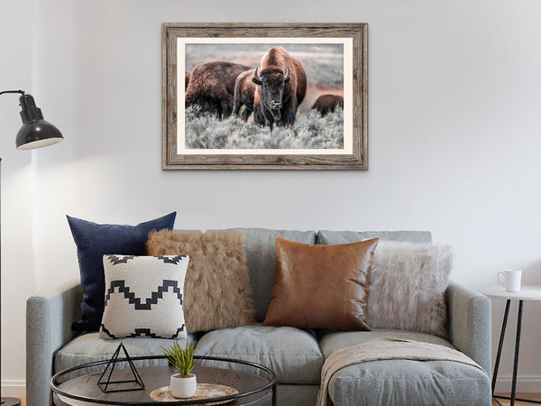 Debra Gail Fine Art AMERICAN BUFFALO WALL ART - WESTERN STYLE