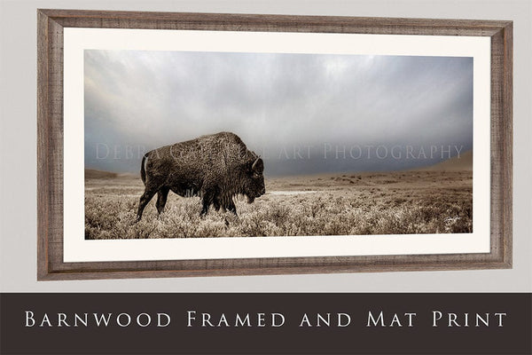 Debra Gail Fine Art AMERICAN BUFFALO WIDE PANORAMIC PRINT 2:1