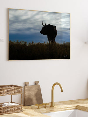 Texas Longhorn wall art – Western ranch photography print by Debra Gail Fine Art