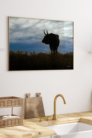 Texas Longhorn wall art – Western ranch photography print by Debra Gail Fine Art