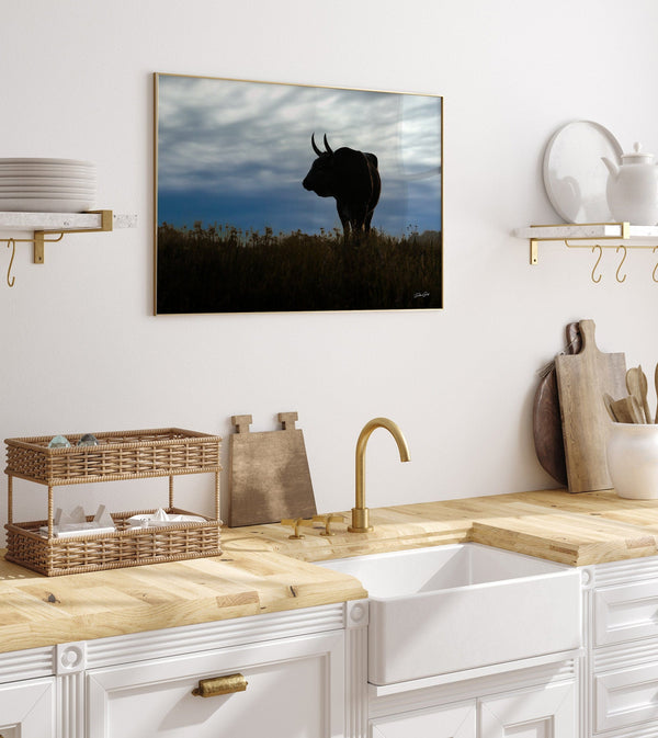 Debra Gail Fine Art Austin Texas Longhorn Bull Wall Art Canvas