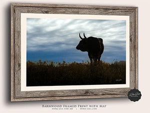 Texas Longhorn wall art – Western ranch photography print by Debra Gail Fine Art