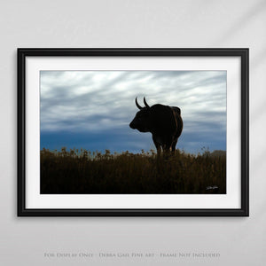 Texas Longhorn wall art – Western ranch photography print by Debra Gail Fine Art