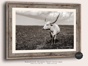 Texas Longhorn wall art – Western ranch photography print by Debra Gail Fine Art