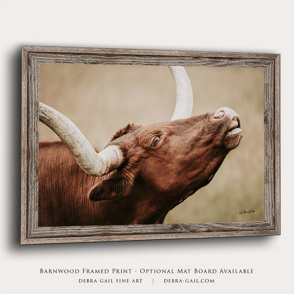 Debra Gail Fine Art Barnwood Framed Print / 18x12 Texas Longhorn Home Decor Artwork