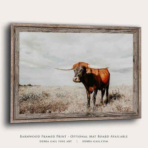 Debra Gail Fine Art Barnwood Framed Print / 18x12 Western Decor Texas Longhorn Canvas Art in Neutral Tomes