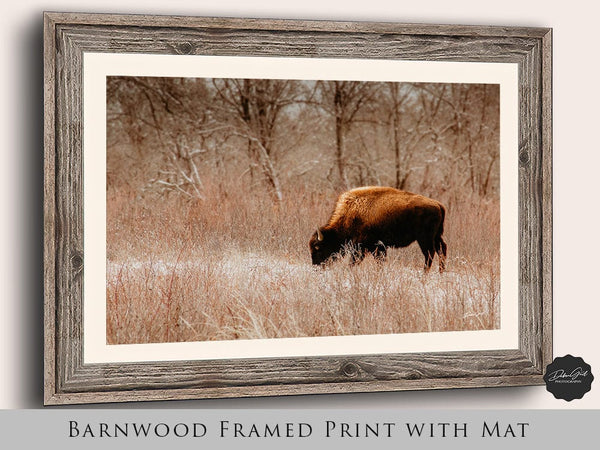 Debra Gail Fine Art Barnwood Framed Print / 18x12 WINTER BISON GRAZING - RUSTIC DECOR