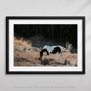 Wild Horse wall art – rustic Western fine art print by Debra Gail Fine Art