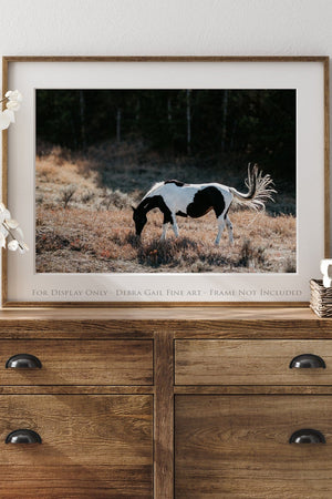 Wild Horse wall art – rustic Western fine art print by Debra Gail Fine Art