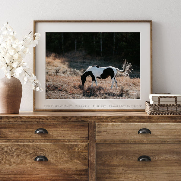 Debra Gail Fine Art BEAUTIFUL HORSE ART PRINT - WYOMING PHOTOGRAPHY