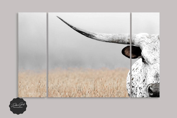 Debra Gail Fine Art BEAUTIFUL TEXAS LONGHORN CLOSE UP - 3 PANEL CANVAS SET