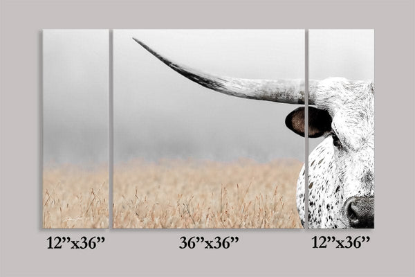 Debra Gail Fine Art BEAUTIFUL TEXAS LONGHORN CLOSE UP - 3 PANEL CANVAS SET