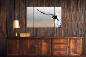 Cow triptych wall art – rustic Western split canvas photography by Debra Gail Fine Art