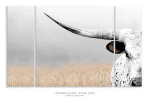 Cow triptych wall art – rustic Western split canvas photography by Debra Gail Fine Art
