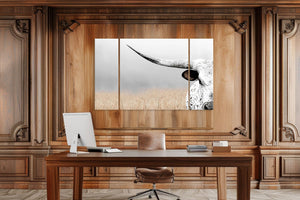 Cow triptych wall art – rustic Western split canvas photography by Debra Gail Fine Art