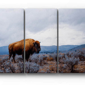 Debra Gail Fine Art BISON 3 PIECE CANVAS SET - MULTI-PANEL TRIPTYCH WESTERN