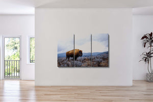 Bison triptych wall art – XL rustic farmhouse split canvas fine art print by Debra Gail Fine Art