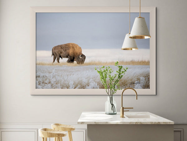 Debra Gail Fine Art BISON ART PRINT or CANVAS - WINTER LANDSCAPE IN KANSAS