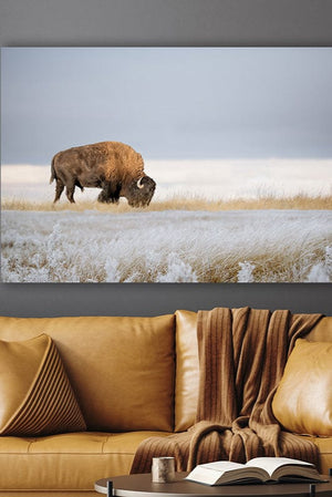 Bison wall art canvas artwork in rustic frame American buffalo Western decor