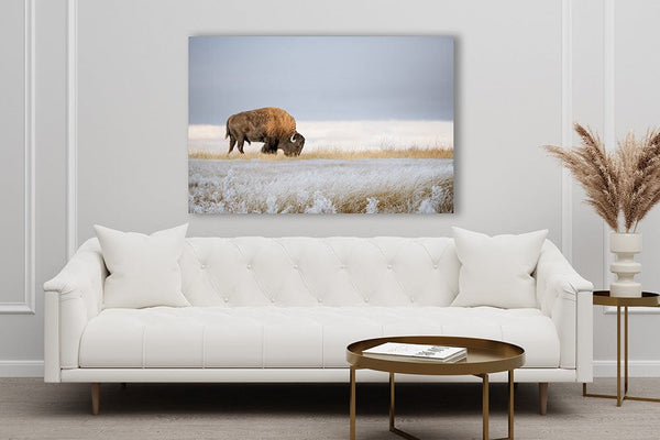 Debra Gail Fine Art BISON ART PRINT or CANVAS - WINTER LANDSCAPE IN KANSAS