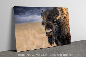 Buffalo White Spiritial Bison wall art canvas – fine art print by Debra Gail Fine Art