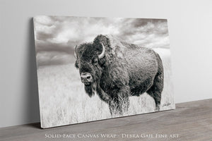 Bison wall art – rustic prairie photography print by Debra Gail Fine Art