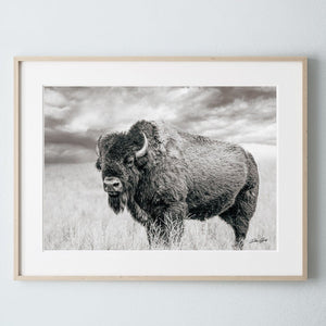 Bison wall art – rustic prairie photography print by Debra Gail Fine Art
