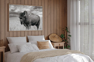 Bison wall art – rustic prairie photography print by Debra Gail Fine Art