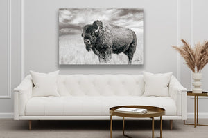 Bison wall art – rustic prairie photography print by Debra Gail Fine Art