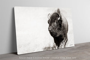 Bison wall art – rustic prairie photography print by Debra Gail Fine Art