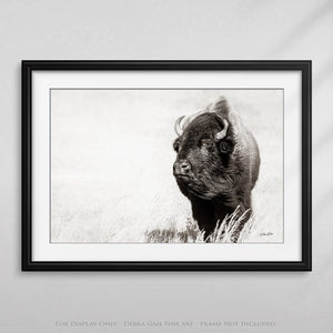 Bison wall art – rustic prairie photography print by Debra Gail Fine Art