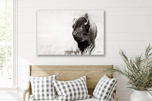 Bison wall art – rustic prairie photography print by Debra Gail Fine Art