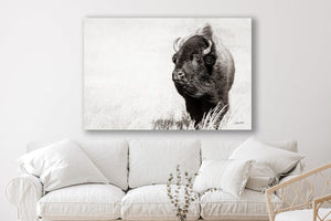 Bison wall art – rustic prairie photography print by Debra Gail Fine Art
