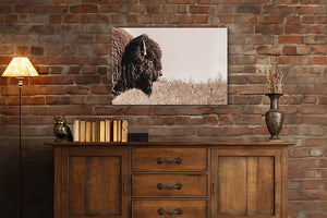 Buffalo fine art print – Great Plains wildlife wall decor by Debra Gail Fine Art