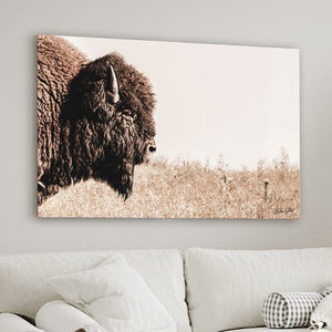 Debra Gail Fine Art Bison Close Up - Rustic Western Wall Art - Fine Art Canvas or Print