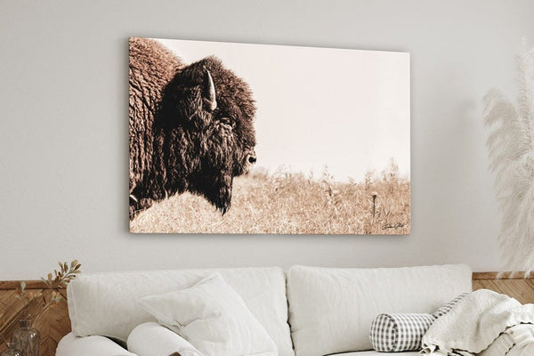 Debra Gail Fine Art Bison Close Up - Rustic Western Wall Art - Fine Art Canvas or Print