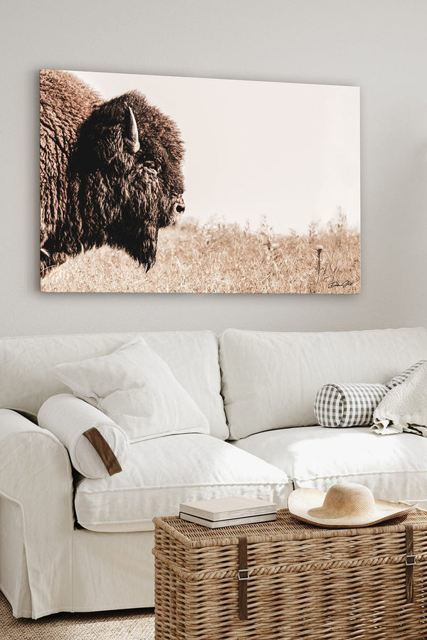 Debra Gail Fine Art Bison Close Up - Rustic Western Wall Art - Fine Art Canvas or Print