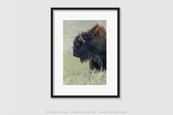 Debra Gail Fine Art BISON CLOSE UP - VERTICAL RUSTIC PRINT