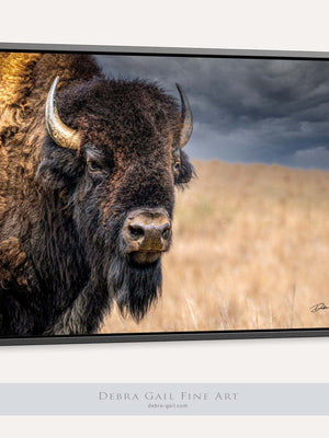 Bison wall art – neutral sepia rustic prairie photography print by Debra Gail Fine Art