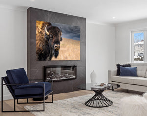 Bison wall art – neutral sepia rustic prairie photography print by Debra Gail Fine Art