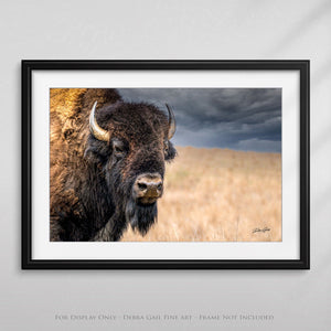 Bison wall art – neutral sepia rustic prairie photography print by Debra Gail Fine Art