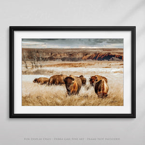 Buffalo Bison wall art canvas – rustic prairie photography print by Debra Gail Fine Art