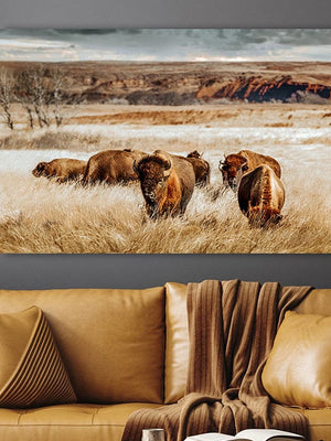Buffalo Bison wall art canvas – rustic prairie photography print by Debra Gail Fine Art